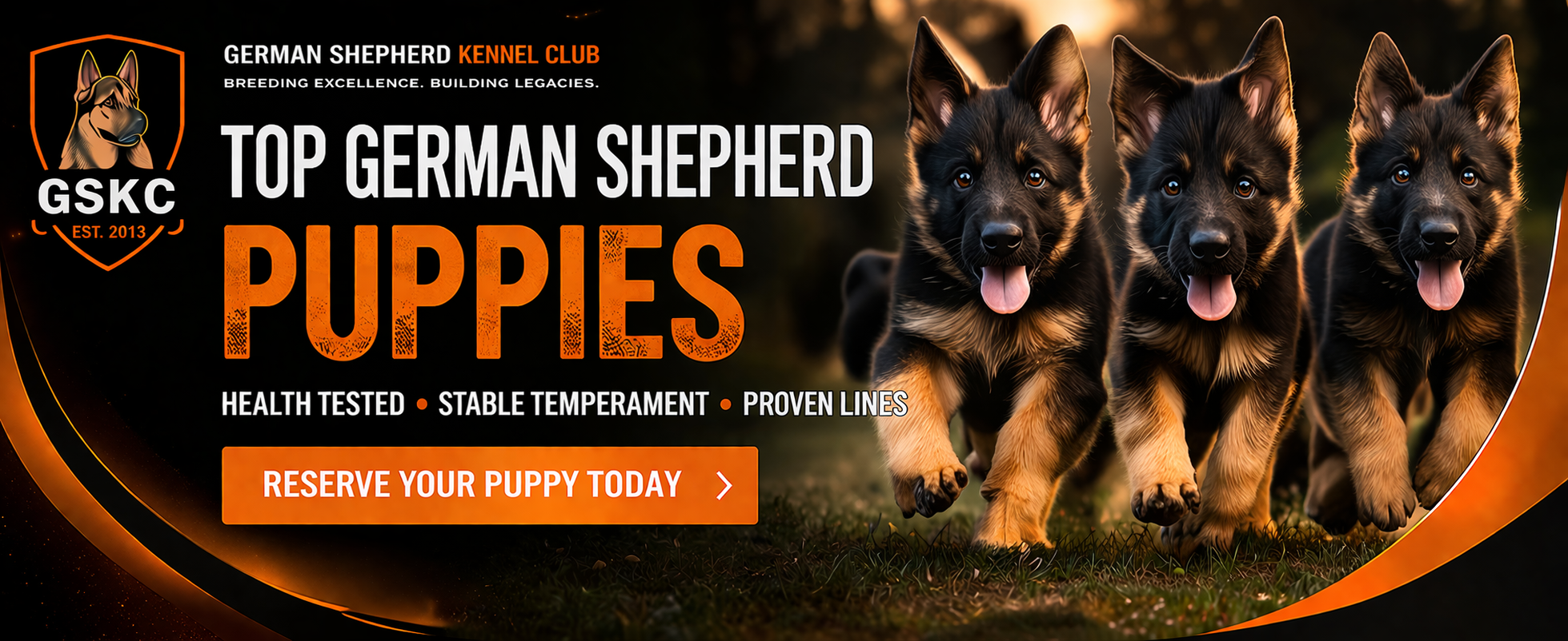Homepage Banner 970 x 250 Advertising Example