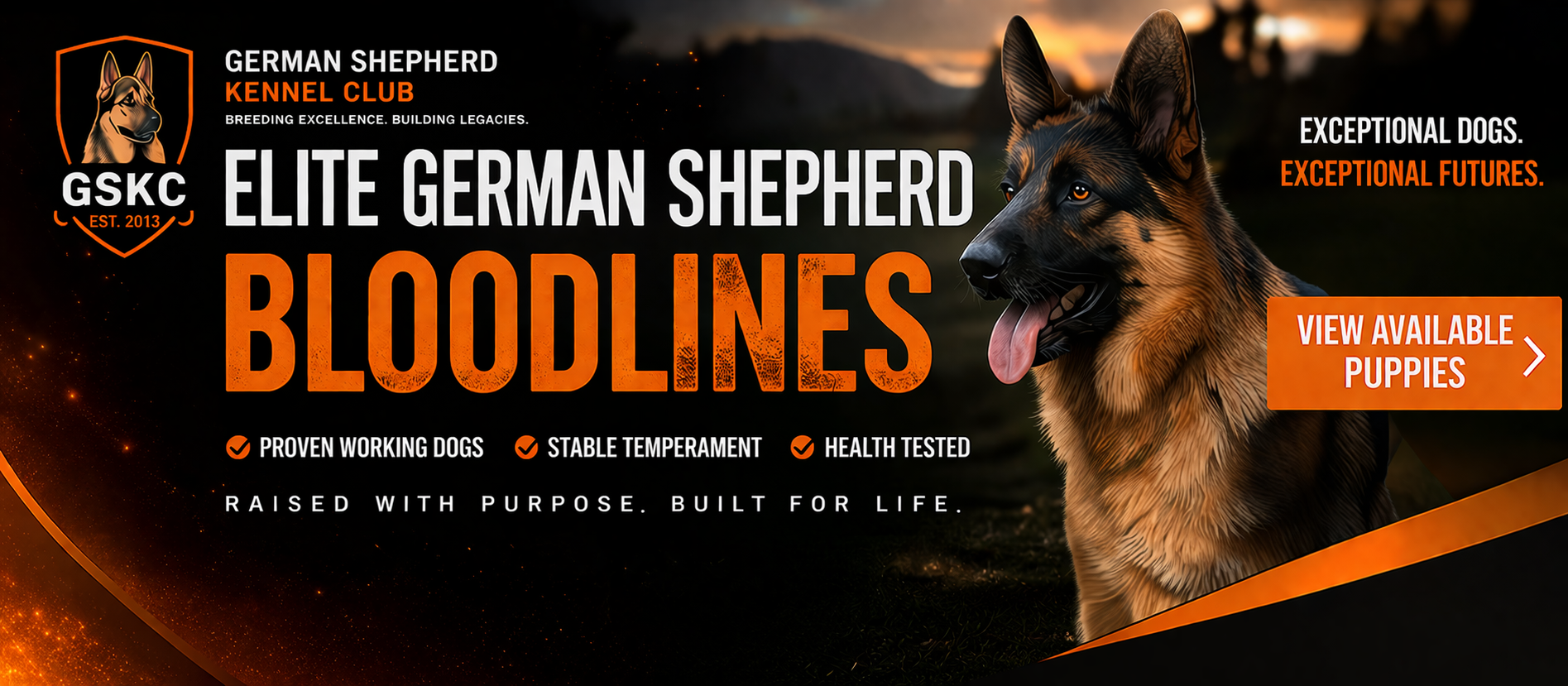 Top Banner 1200 x 300 Advertising Example