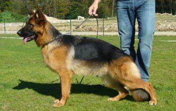 Bora du Domaine du Four Blanc