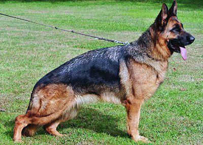 Tempesta di Casa Beggiato