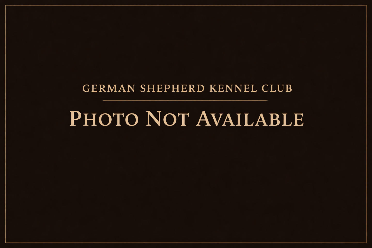 Nala von der kleinen Ranch
