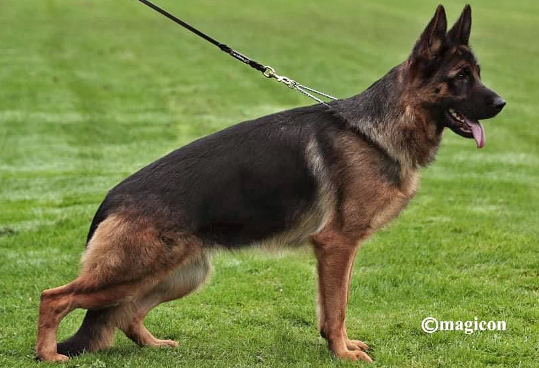 Peggy du Val D'Anzin