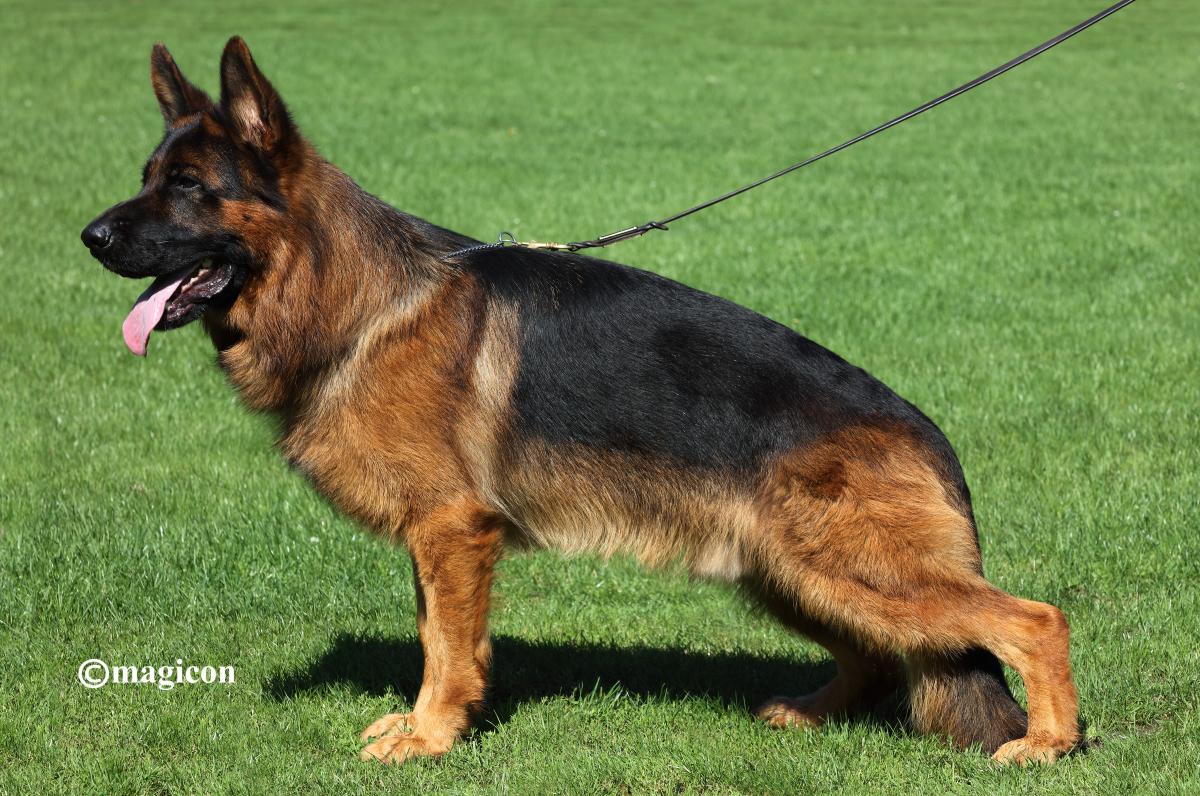 L'orange di Casa Beggiato