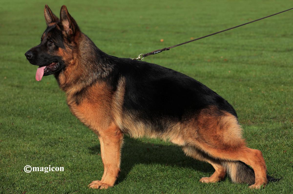 Ulkan vom Elzmündungsraum