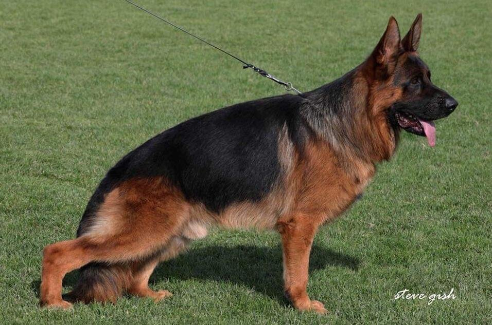 Quentin von Regina Pacis