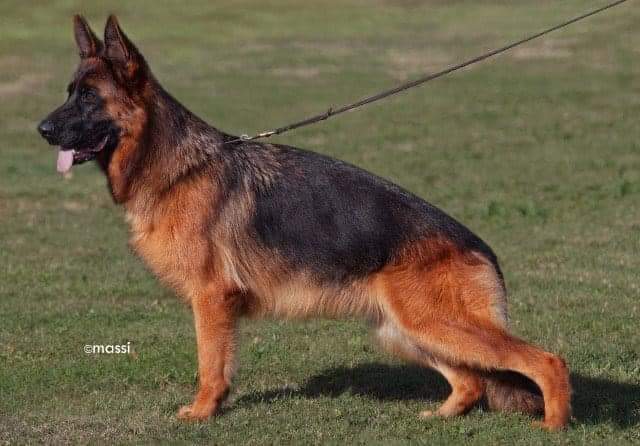 Bara von Melanchthon