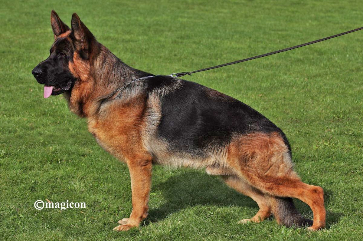 Pütz vom Emkendorfer Park