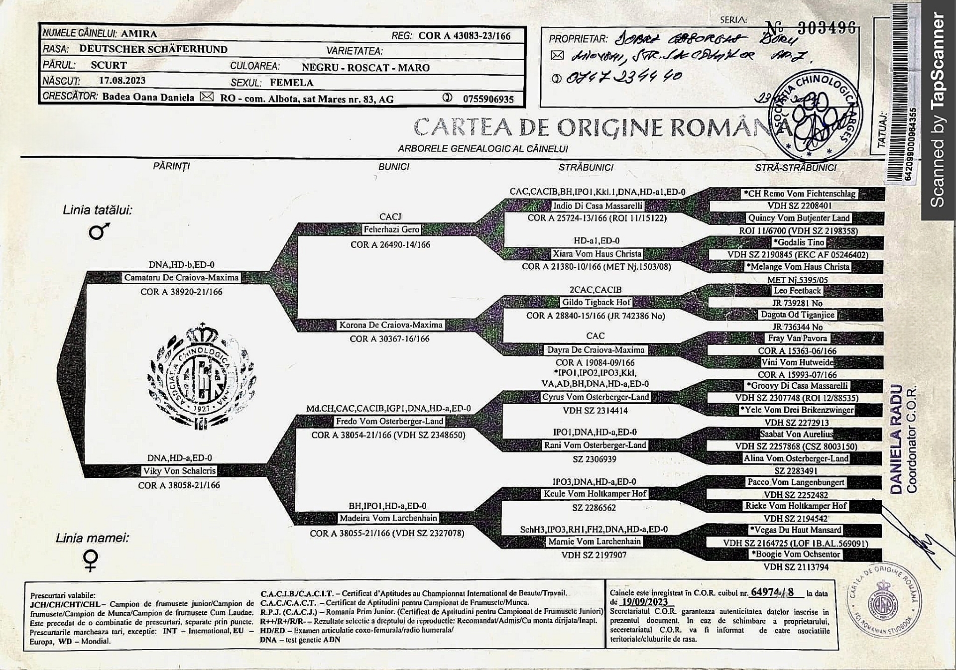 Amira Vom Gabriel's Land