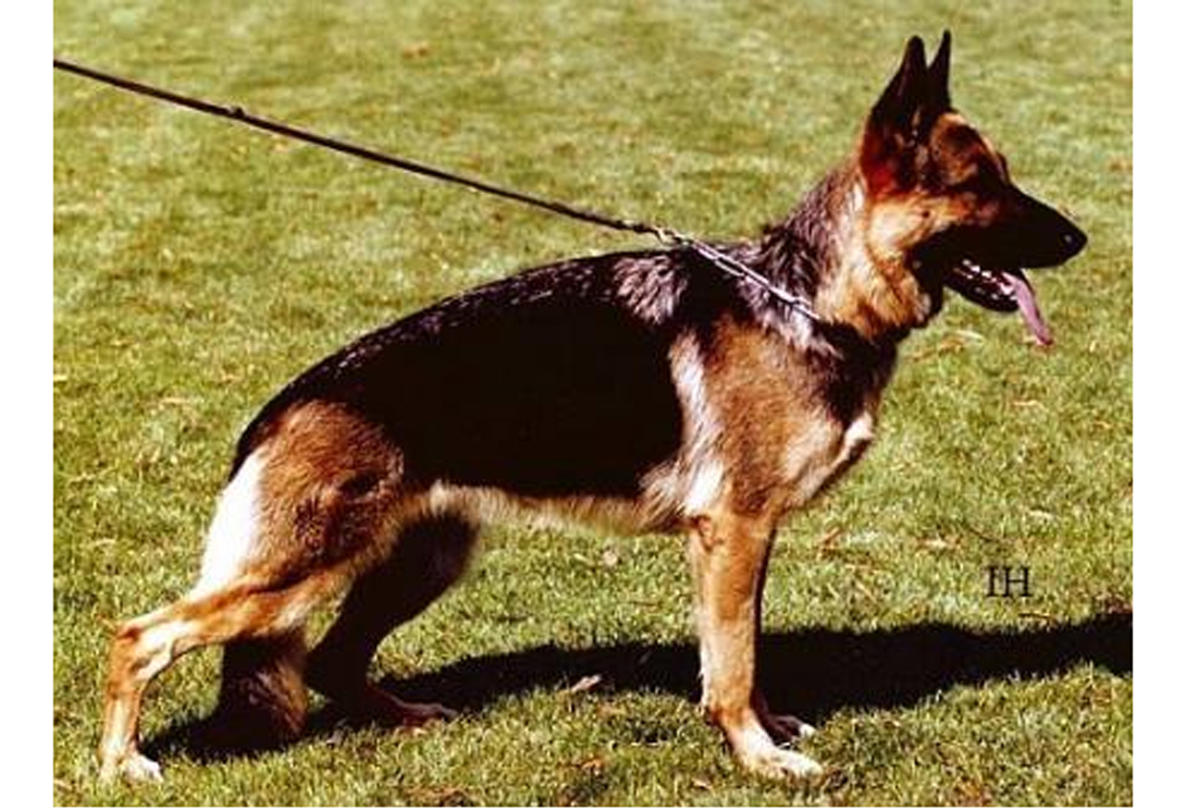 Pilla von der Noriswand