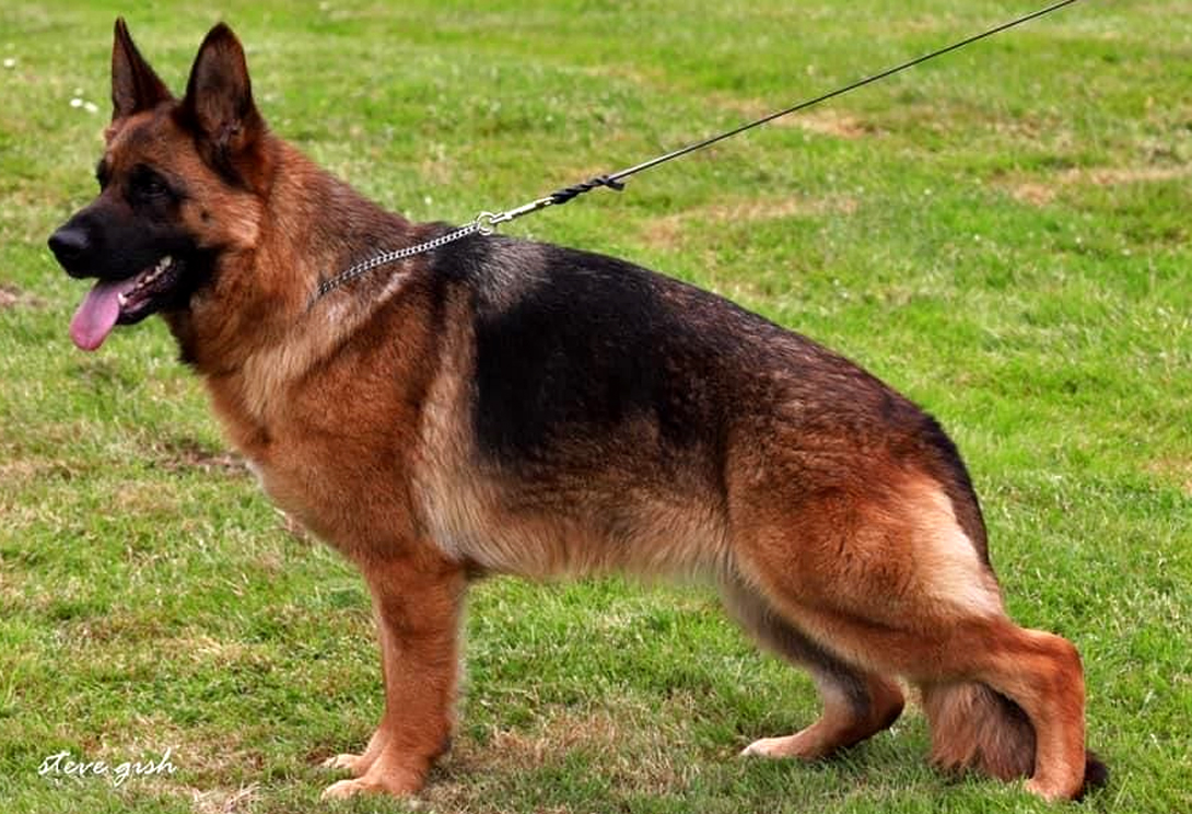 Quiny du Parc à Mitrailles