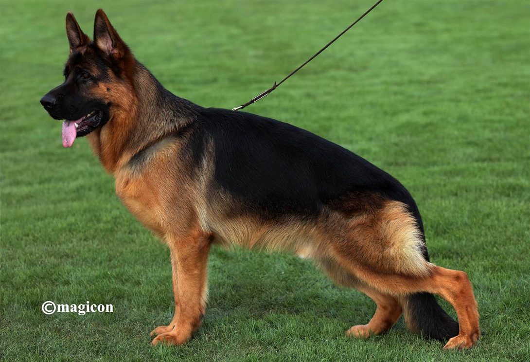 Bhoss von Melanchthon