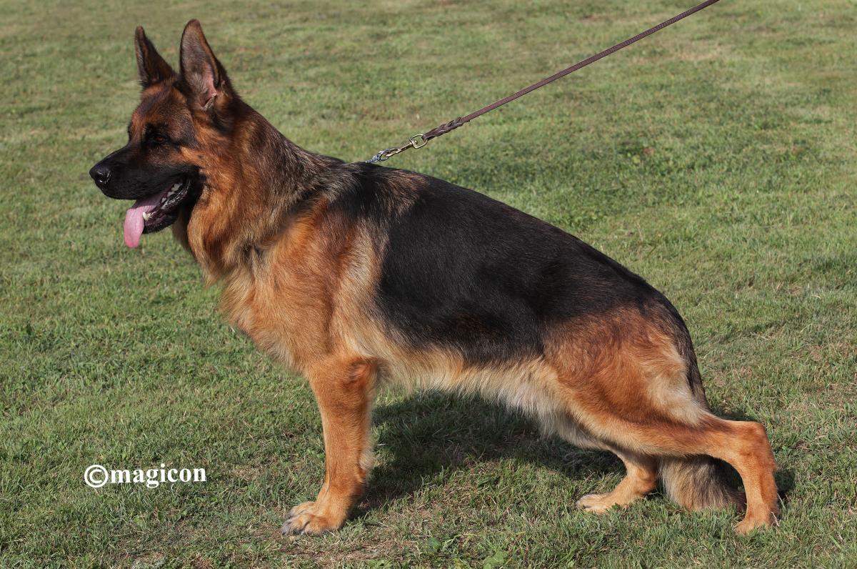 Natz vom Team Hühnegrab