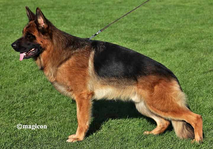 Waronjo von Waterloo