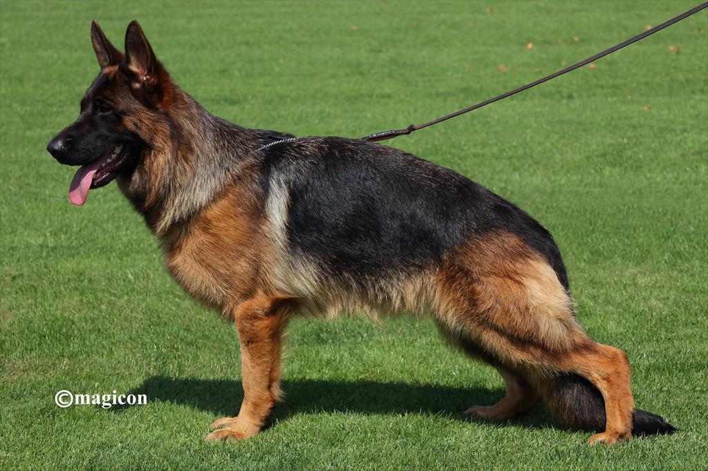 Dela vom Grabfeldgau