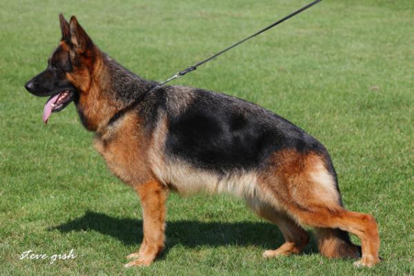 Wendy von der Grafschaft Mark